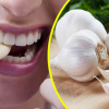 (Español) Garlic benefits and properties